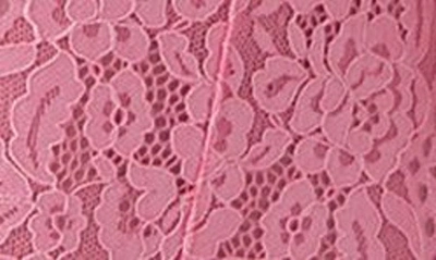 B.tempt'd By Wacoal Ciao Bella Lace Bodysuit In Sea Pink