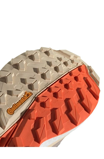 Shop Adidas Originals Terrex Free Hiker Gore-tex® Waterproof Hiking Boot In Wonder Taupe/ Earth Strata