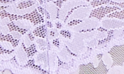 Shop Hanky Panky Daily Lace Bikini In Moon Crystal (purple)