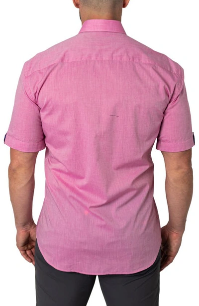 Shop Maceoo Galileo Cottoncandy Pink Short Sleeve Button-up Shirt