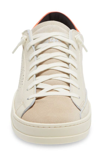 Shop P448 John Sneaker In Salt