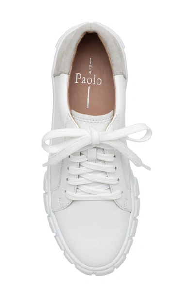 Linea Paolo Kenzi Platform Sneaker In Eggshell/ Off White