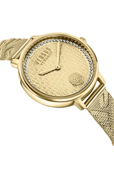 Shop Versus La Villette Mesh Strap Watch, 36mm In Ip Yellow Gold