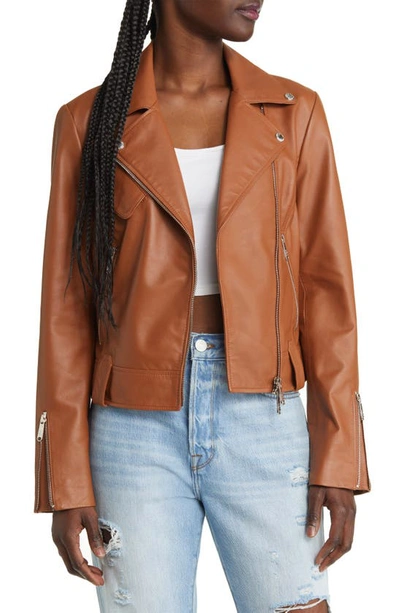 Sam Edelman Faux Leather Crop Moto Jacket In Nocolor ModeSens