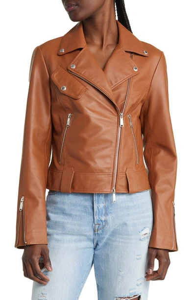 Shop Sam Edelman Leather Moto Jacket In Cognac