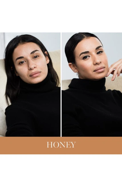 Bobbi Brown Skin Oil-free Liquid Foundation With Broad Spectrum Spf 15 Sunscreen In Honey (w-064 / 5)