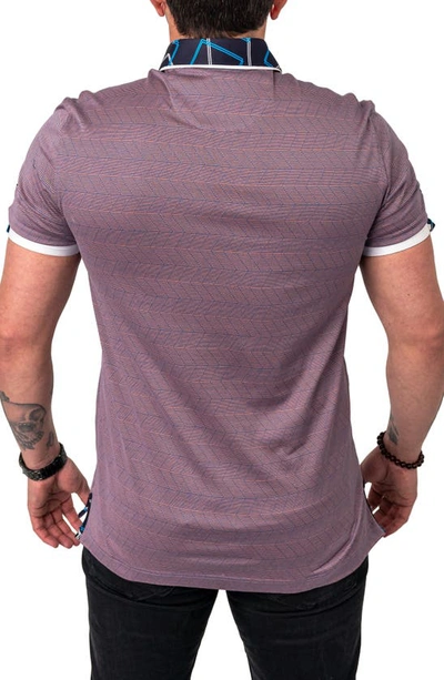 Shop Maceoo Mozartlinemulti Short Sleeve Cotton Polo In Pink