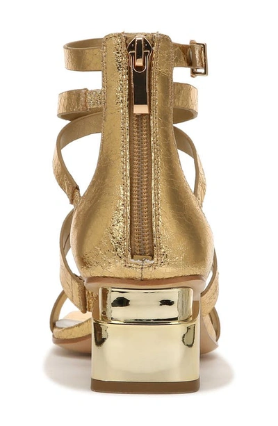 Shop Franco Sarto Korie Gladiator Sandal In Gold