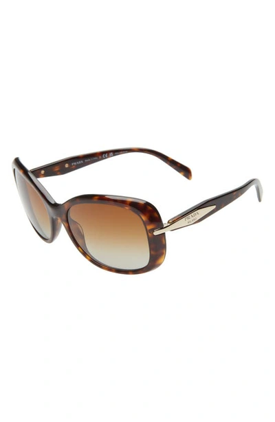 Shop Prada 57mm Oversize Polarized Round Sunglasses In Tortoise