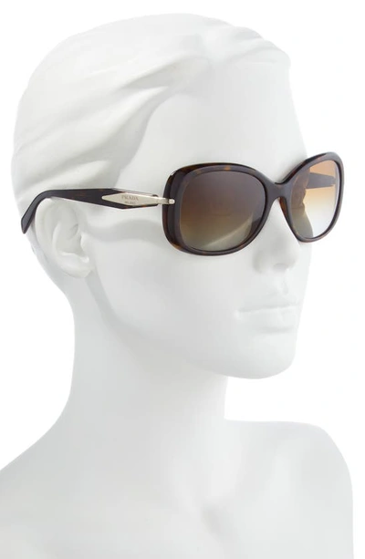 Shop Prada 57mm Oversize Polarized Round Sunglasses In Tortoise