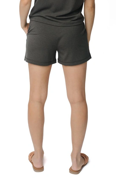 Shop Cozy Earth Pajama Shorts In Charcoal