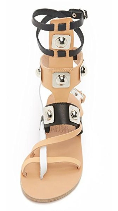 Shop Ancient Greek Sandals For Peter Pilotto Gladiator Sandals In Natural/black/white