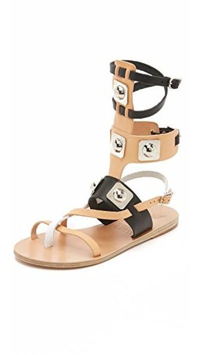 Shop Ancient Greek Sandals For Peter Pilotto Gladiator Sandals In Natural/black/white