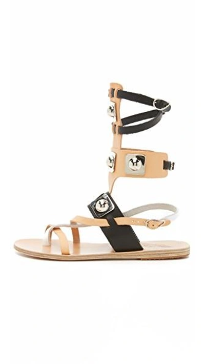 Shop Ancient Greek Sandals For Peter Pilotto Gladiator Sandals In Natural/black/white