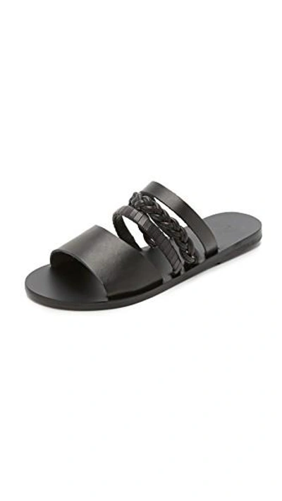 Shop Ancient Greek Sandals Helene Slides In Black