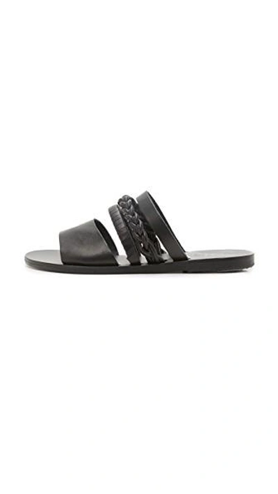 Shop Ancient Greek Sandals Helene Slides In Black