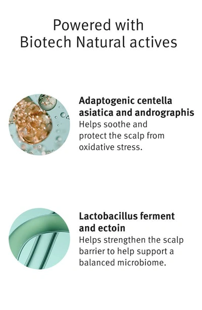 Aveda Scalp Solutions Refreshing Protective Mist