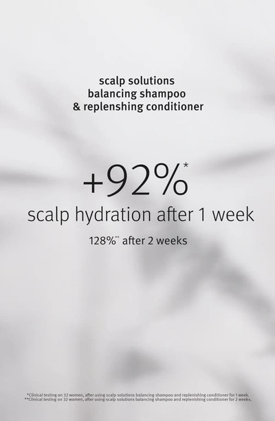 Shop Aveda Scalp Solutions Balancing Shampoo