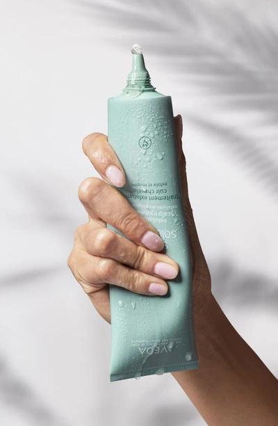 Aveda Scalp Solutions Exfoliating Scalp Treatment