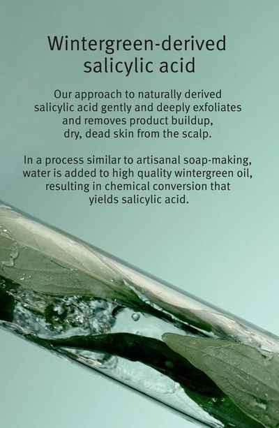 Aveda Scalp Solutions Exfoliating Scalp Treatment