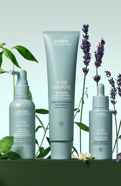 Shop Aveda Scalp Solutions Exfoliating Scalp Treatment