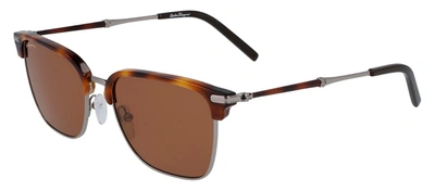 Shop Ferragamo Sf 227s 085 Clubmaster Sunglasses In Brown
