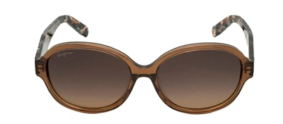 Ferragamo Sf 885sa 210 Oval Sunglasses In Brown