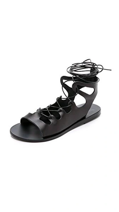Shop Ancient Greek Sandals Antigone Gladiator Sandals In Black