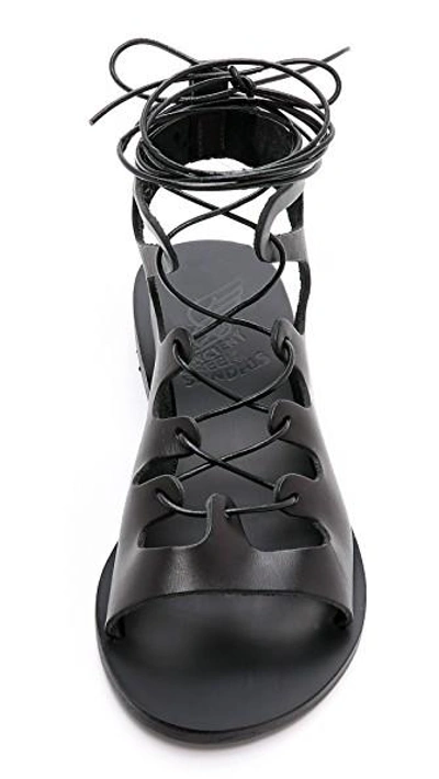 Shop Ancient Greek Sandals Antigone Gladiator Sandals In Black