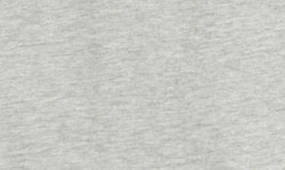 Shop Rainforest Soft Washed Cotton Graphic T-shirt In Heather Grey