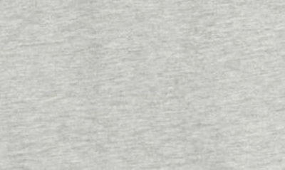 Rainforest Soft Washed Graphic T-shirt In Heather Grey