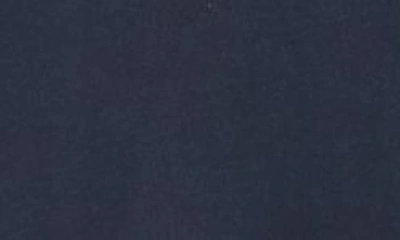 Rainforest Soft Washed Graphic T-shirt In Navy