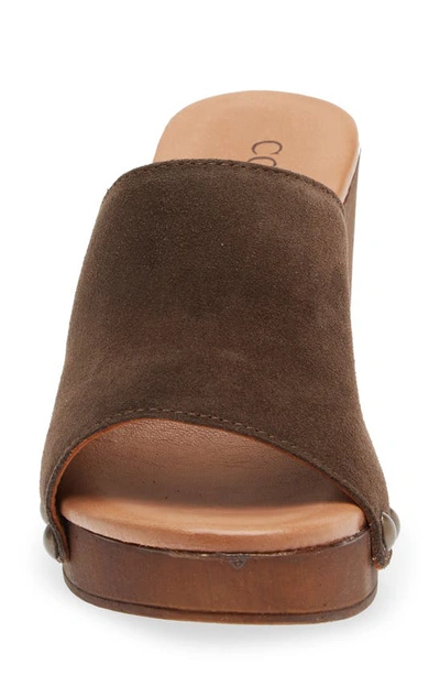 Cordani Whitley Block Heel Sandal In Cacao