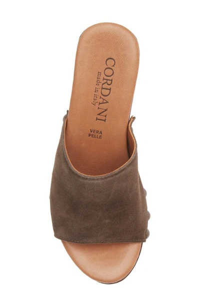 Cordani Whitley Block Heel Sandal In Cacao
