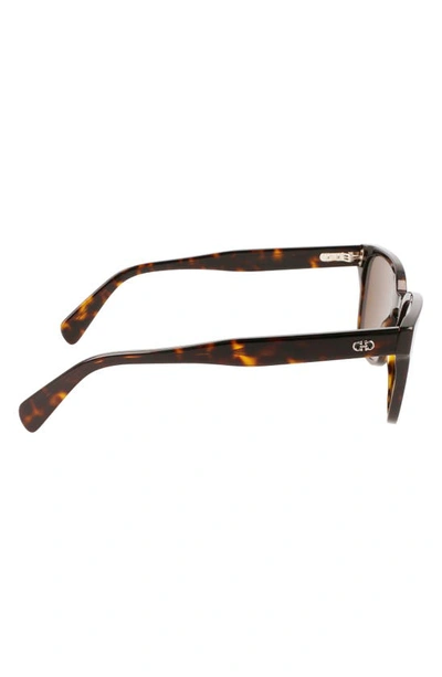 Ferragamo Gancini 55mm Rectangular Sunglasses In Tortoise