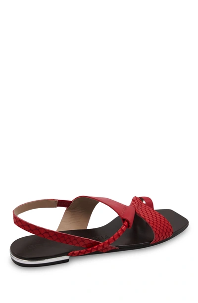 Shop Bcbgmaxazria Marlin Vermelho Leather Flat Sandal In Red