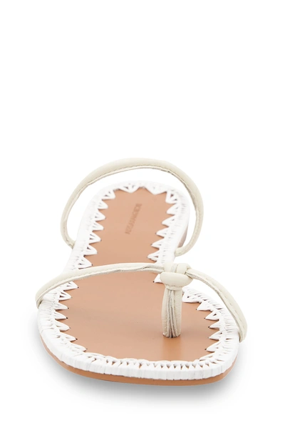 Bcbgmaxazria Women's Bali Flat Sandal Women's Shoes In White