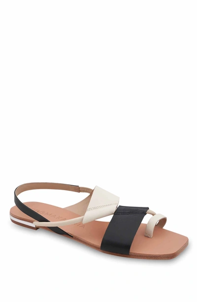 Shop Bcbgmaxazria Marlin Black/white Leather Flat Sandal In Brown