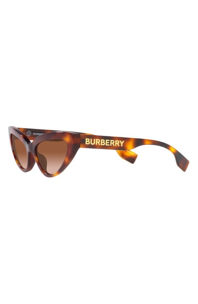 Shop Burberry 54mm Gradient Cat Eye Sunglasses In Lite Havana