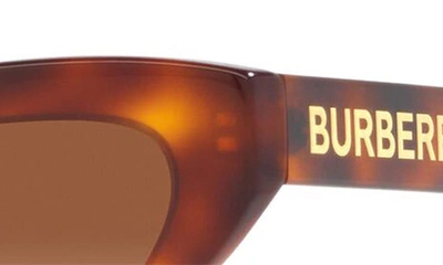 Shop Burberry 54mm Gradient Cat Eye Sunglasses In Lite Havana