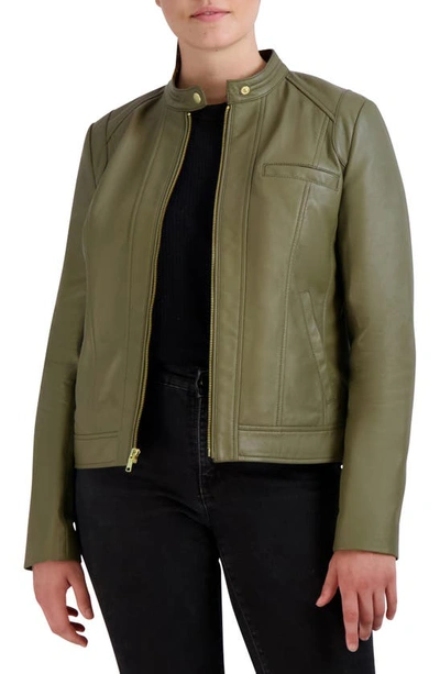 Shop Cole Haan Moto Leather Jacket In Sage