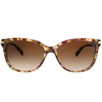 Shop Coach L19 Hc 8132 528713 Womens Cat-eye Sunglasses In Brown