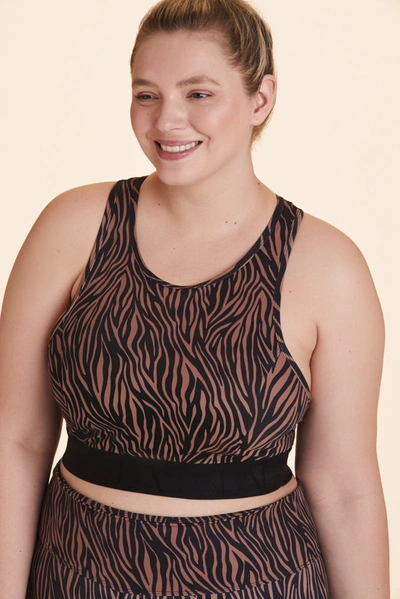 Shop Alala Frame Bra In Brown