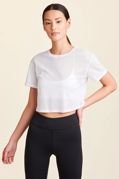 Shop Alala Tie Back Crop Tee In White