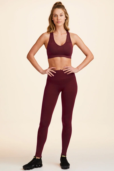 Shop Alala Essential Seamless Tight In Red