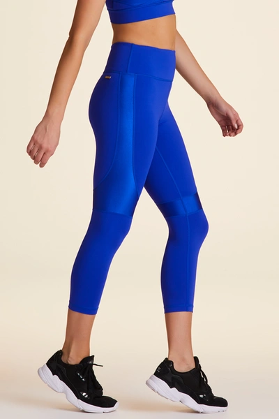 Alala vamp tights online