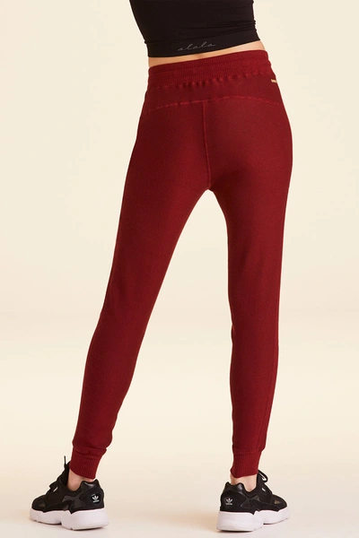 Shop Alala Rise Jogger In Red
