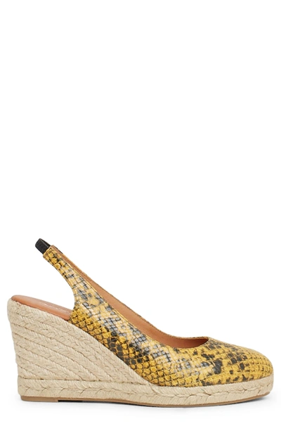 Shop Andre Assous Raisa Espadrille Slingback Wedge In Brown