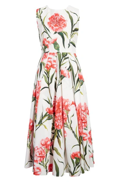 Shop Dolce & Gabbana Carnation Print Sleeveless Cotton Fit & Flare Dress In Natural White