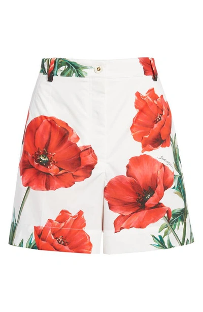 Shop Dolce & Gabbana Poppy Print Cotton Poplin Shorts In Natural White